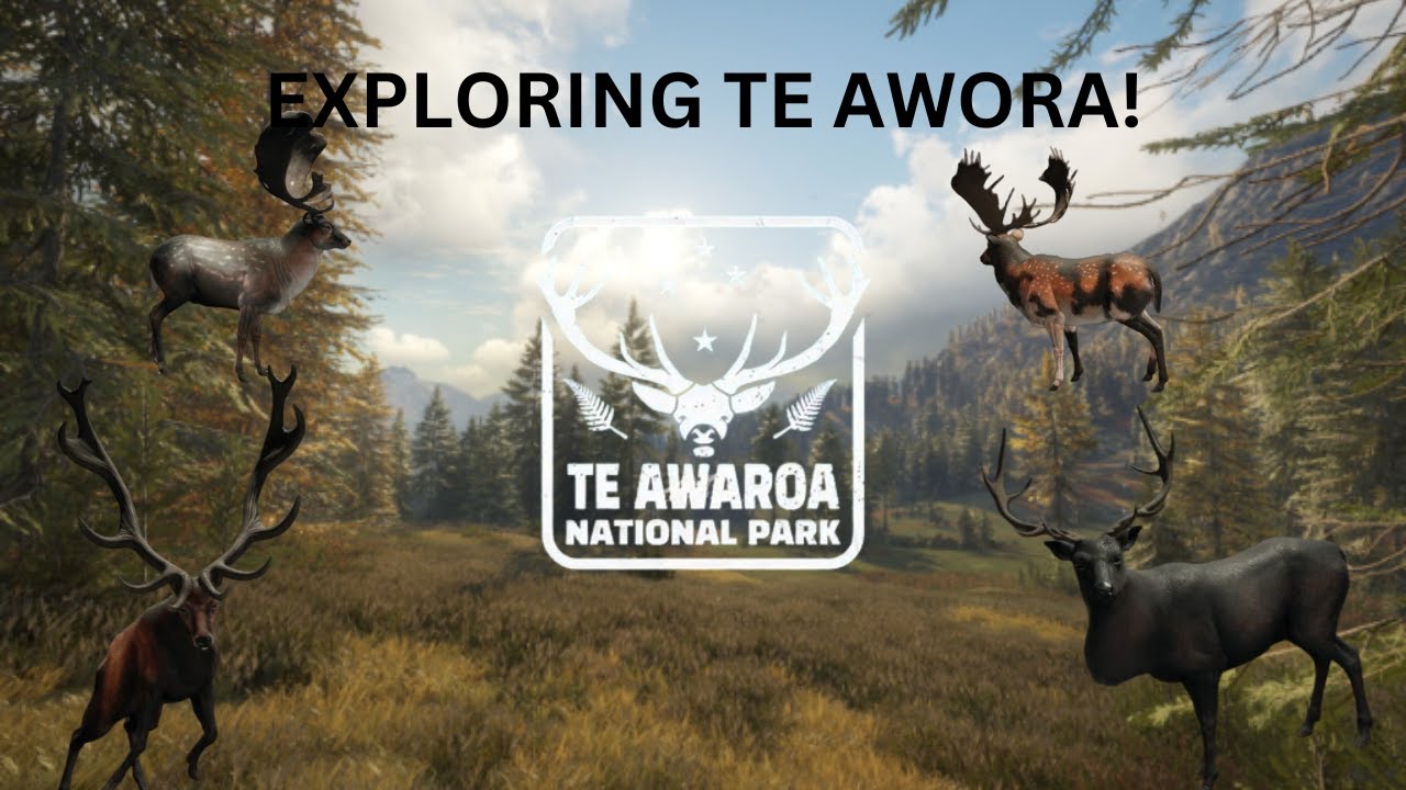Exploring Te awora! (COTW) - YouTube