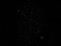 STELLARYX