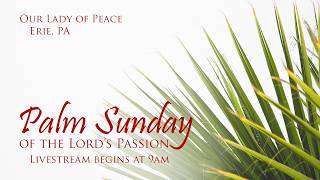 Palm Sunday of the Passion of the Lord - March 29, 2026