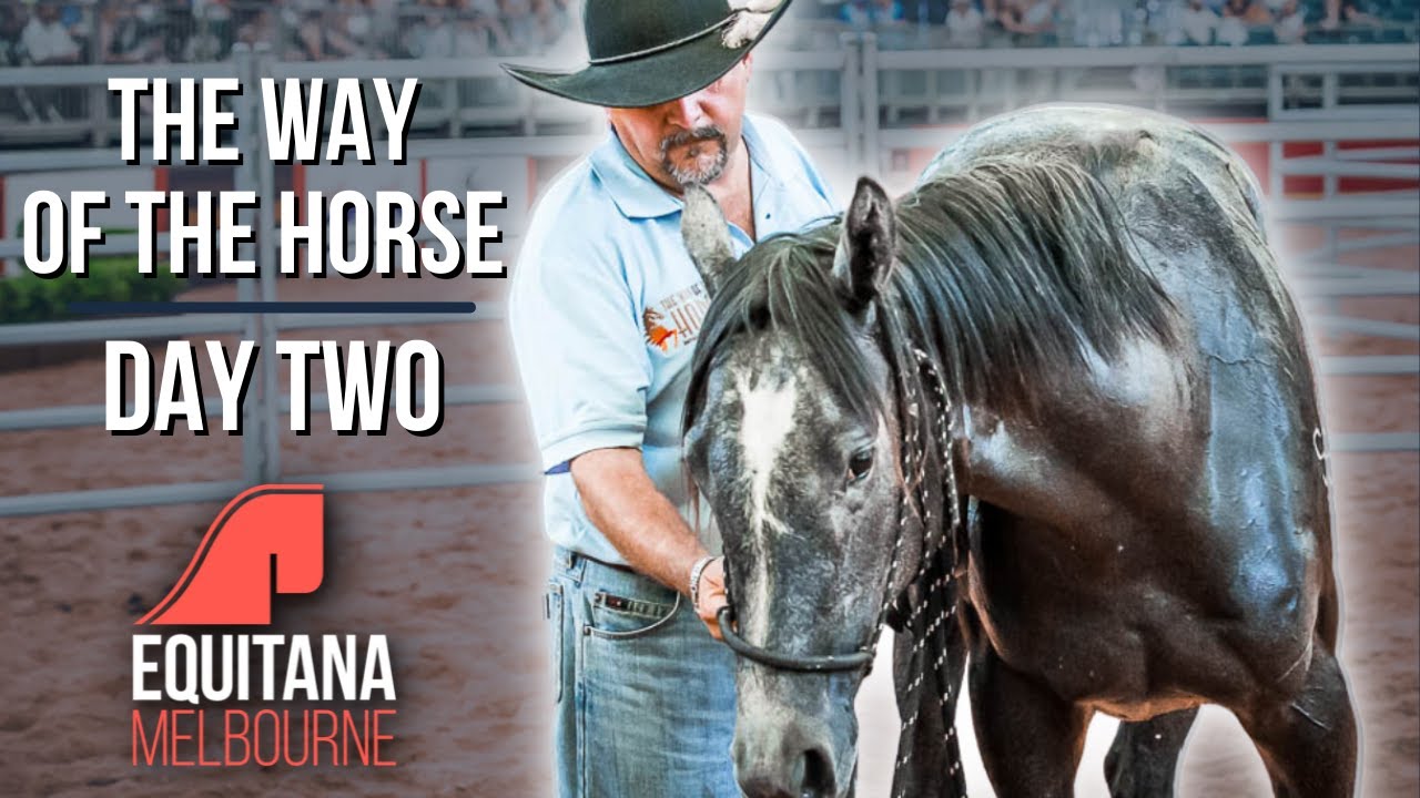 Equitana Melbourne 'TWOTH' 2016: Day 2