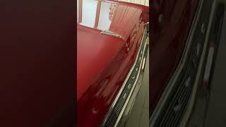 IMG 7900