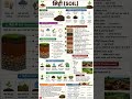 मिट्टी (Soil) Explained | Components, Soil Profile & Erosion | हिंदी में पूरी जानकारी