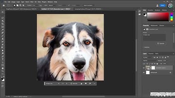 AI in Photoshop Explained | Master Generative AI Tools in Photoshop 2025