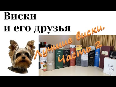 Youtube-канал Виски и его друзья