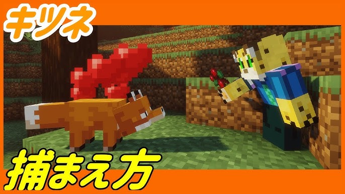 きつね キツネの簡単な捕まえ方 マイクラ統合版 1 16 210 Youtube