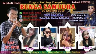 Download Lagu Bunga Samudra 12 2019 MP3 Bunga Samudra 12 2019