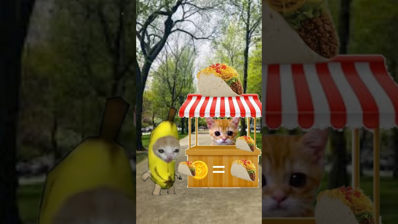 BANANA CAT ATE TACO BELL 