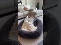 It’s never a “20-minute nap…"
