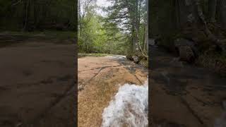 Relaxing Crystal Clear Stream.