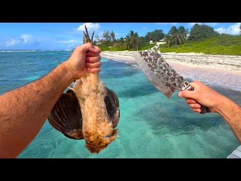 Catching, Butchering, & Cooking a WILD CHICKEN on the Beach!