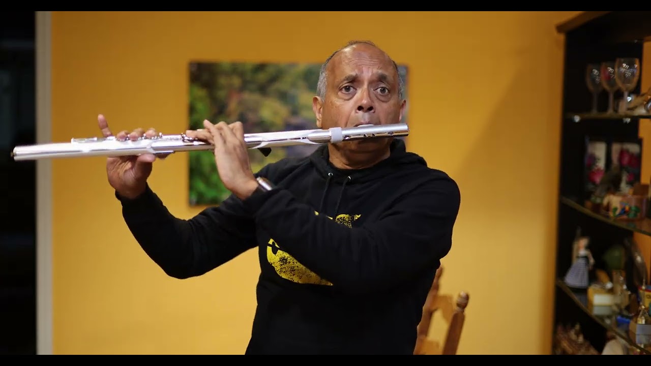 Bridge Over Troubled Water (Aerophone Brisa/Clarinet Cover)