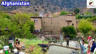 Village life in Afghanistan | Rural life Nangarhar Province Rodat and Haskamina District