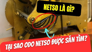 odo Netso là gì? Vì Sao Tiếng Hay & Được Các Bác Chơi Lâu Năm Săn Tìm | Giao Lộ Xưa