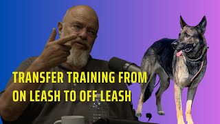 How to transfer training from on leash to off leash