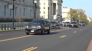 Famous Trump goes to the Supreme Court as it hears arguments over his bid to limit birthright citizenship Profile