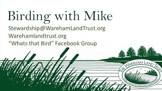 How to use the Merlin Bird ID App with Mike screenshot 4