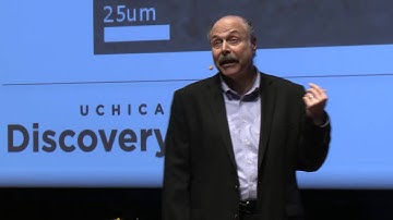 David Awschalom - What future technologies will quantum science make possible?