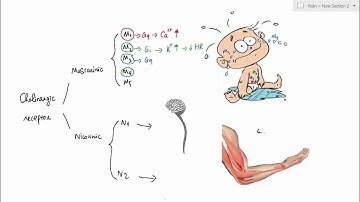 Thuốc Cường Cholinergic || Dược Tốc Biến