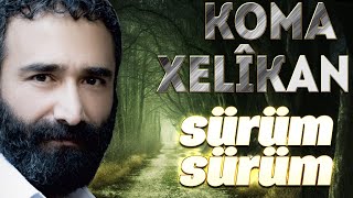 Koma Xelîkan - Sürüm Sürüm Resimi