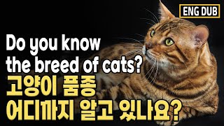 등록된 모든 고양이 품종을 소개합니다. 여러분은 이중 얼마나 알고 계신가요?