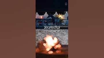 وفى السماء رزقكم وما توعدون 🤍 القارئ #اسلام_صبحي 💙🌿