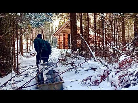 Sledding In Wood Stove To Remote Off Grid Log Cabin - YouTube
