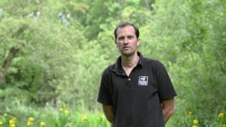 Protecting our Ancient Woodlands Appeal