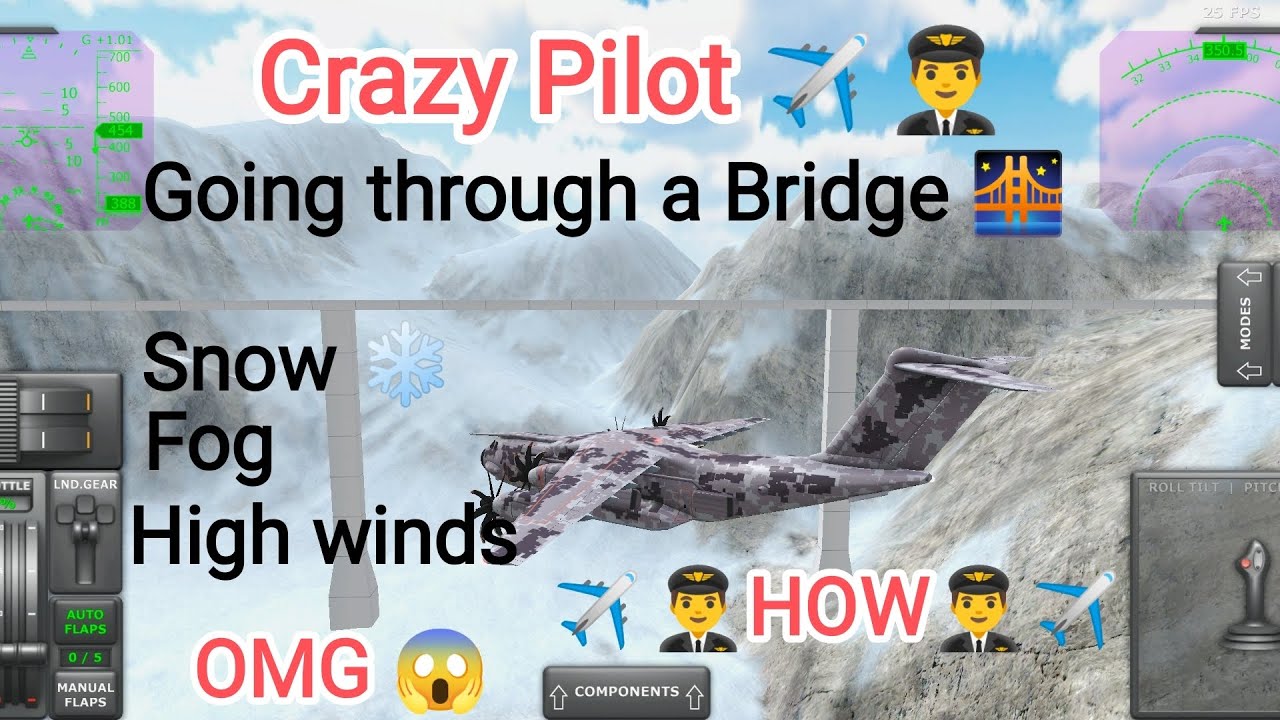 CRAZY PILOT FLYING THROUGH A BRIDGE 🌉 In extreme weather 🤪😱👨‍✈️✈️, 