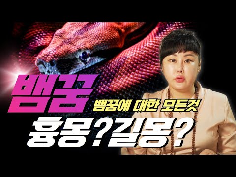 사람들이 제일 많이 물어보는 뱀꿈 길몽일까!? 흉몽일까!? /뱀꿈 총정리 꿈해몽 태몽 / 대한민국무속인1등 용한점집 김포점집 [더샤머니즘]