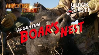 Boars Nest - Quick Shot