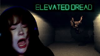 WHAT THE HELL IS THAT! | ELEVATED DREAD