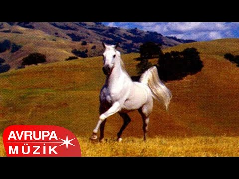 Sebahattin Oğuzlar -