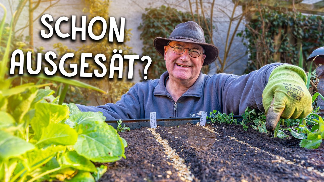 Frühstarter im Hochbeet 🥬- Dieses Gemüse kannst du im März schon aussäen