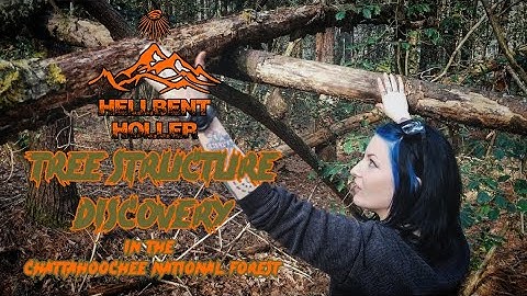 Tree Structure Discovery in the Chattahoochee National Forest - Bigfoot Sasquatch Dogman Cryptid