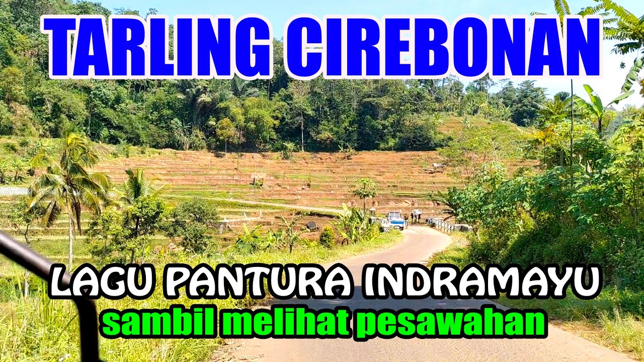 TARLING CIREBONA PANTURA INDRAMAYU ENAK DIDENGAR FULL BASS 2024