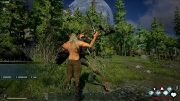 Dark and Light in a nutshell