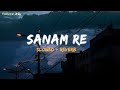 Sanam re  arijit singh  slowed  reverb  lofi  feellyrical