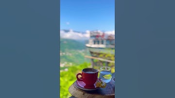 #caffeine #caffein #kahve #tea #drink #love #youtubeshorts #short #shorts #shortvideo #nature