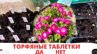 Кокосовый Субстрат | Как Развести  | Торфяные Таблетки | Так Ли Важны При Посеве Петунии