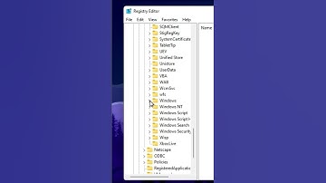 How to Clear Run Command History in Windows 11[Tutorial]