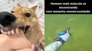 memes surreais mais engraçados - Compilado De Memes Shitpost