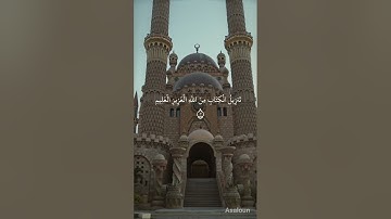 آيات بينات من سورة غافر بصوت رائع