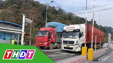Nhiều cửa khẩu nghỉ Tết, tạm dừng thông quan | THDT