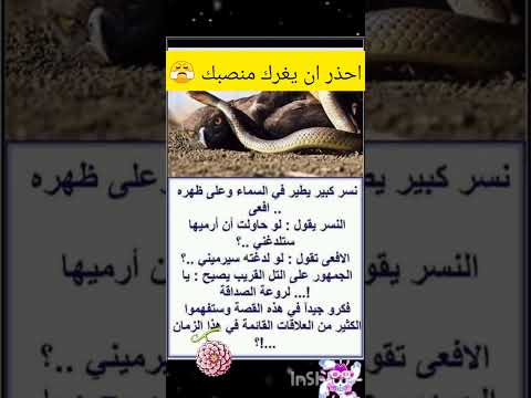 صورة معبرة سورة رقية المنزل طبخ تعليم  