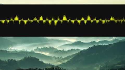 Ethnomusicologyaccompanist Vedas nkpcaejdvr