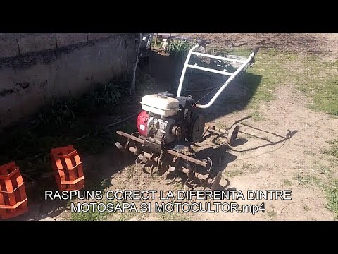 Video: Diferența Dintre Răspuns și Răspuns