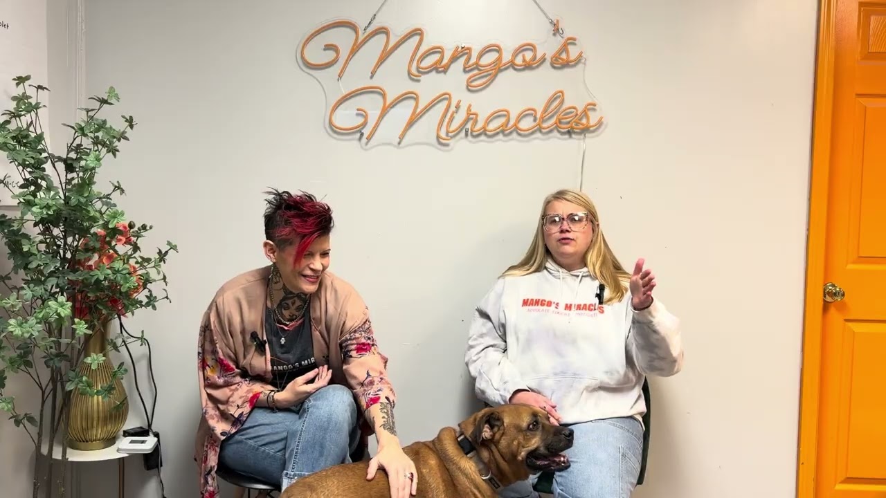 Season 1, Episode 3: Hey, foster a dog! Info on fostering dogs for MM