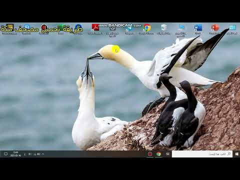 طريقة تحميل مصحف مكة على البيسي