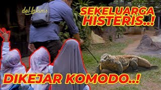 DIKEJAR KOMODO, DEHAKIMS PANIK..!