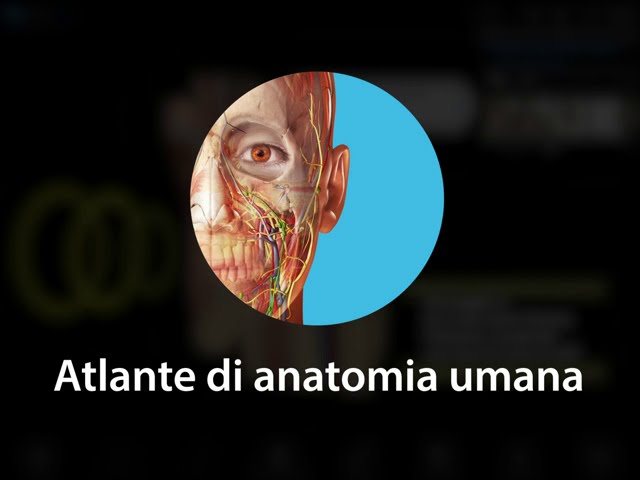 Atlante di anatomia umana  Introduzione agli Account utente Visible Body!  
